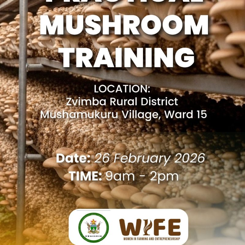 Women in Farming and Entrepreneurship -WIFE Fundraising